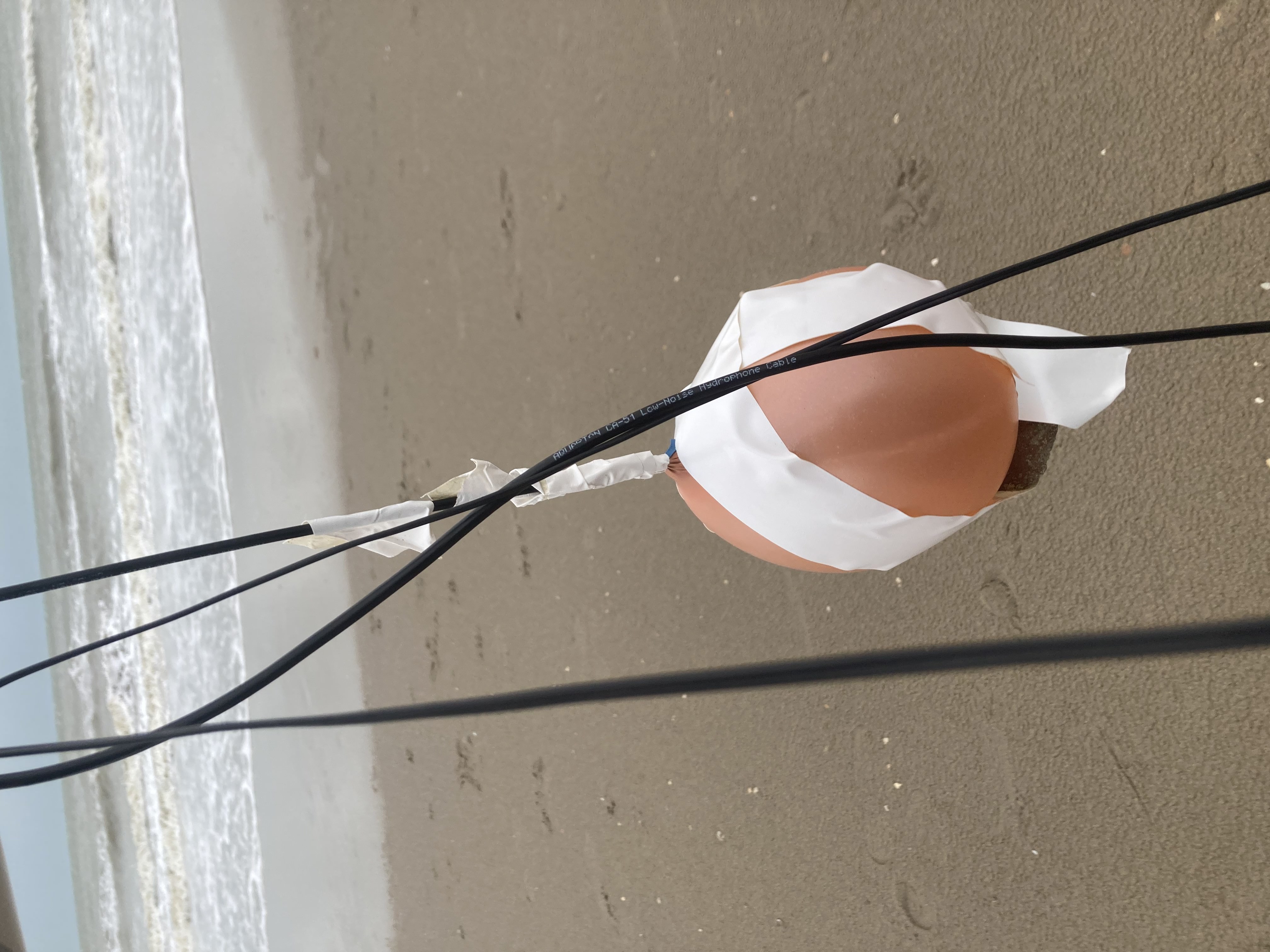 hydrophone inserted into an air balloon taken out to sea